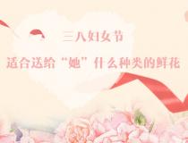 三八婦女節(jié)，適合送給“她”什么種類的鮮花？